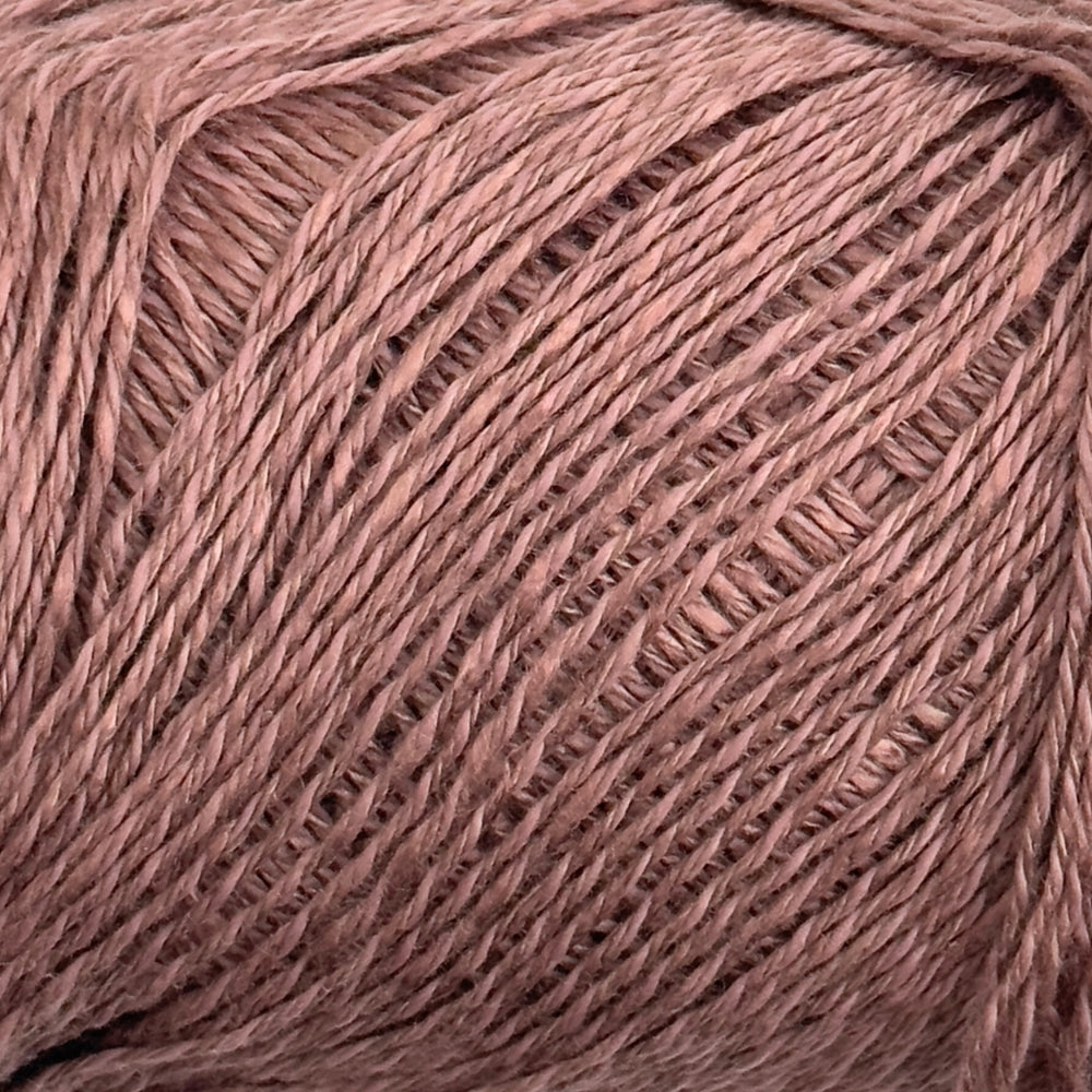 Porto Rico - Winter Rose - 14624