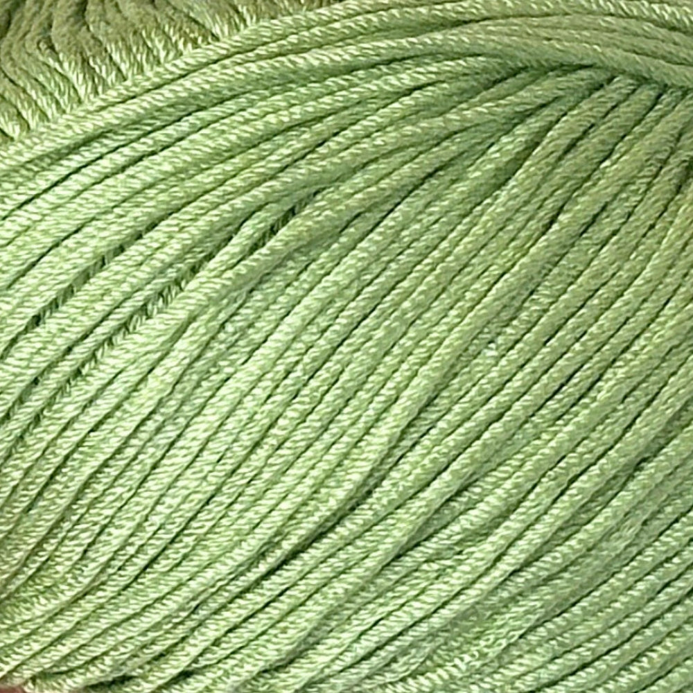 Sugar - Avocado - 9652