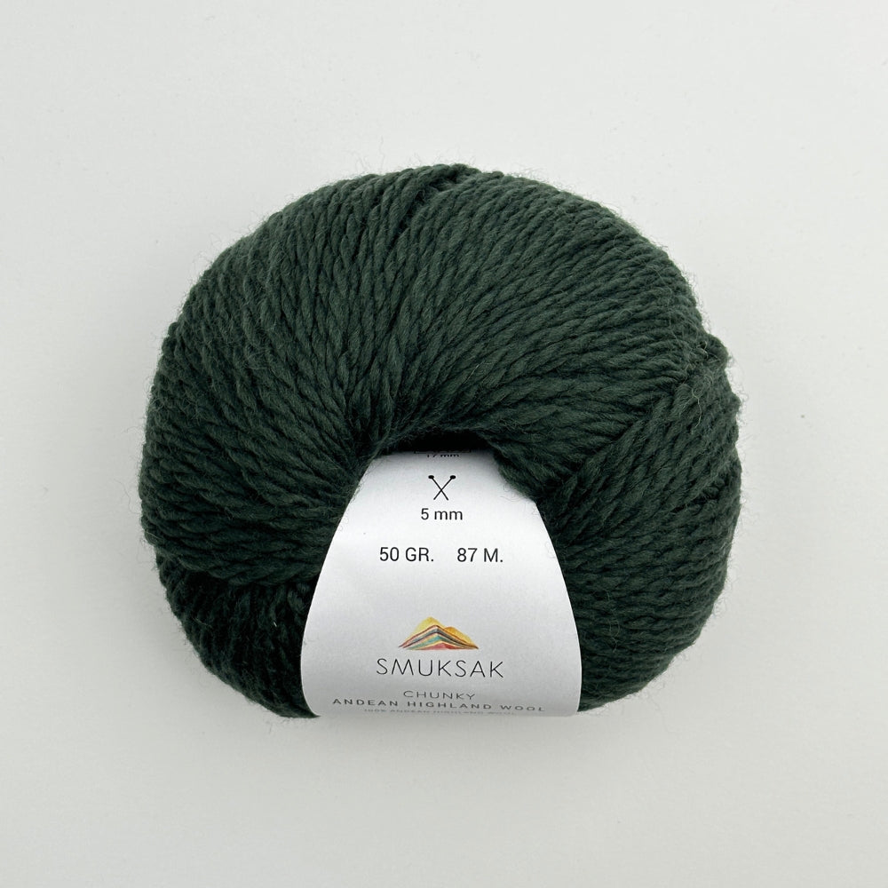 Chunky Andean Highland Wool - Forest - A880