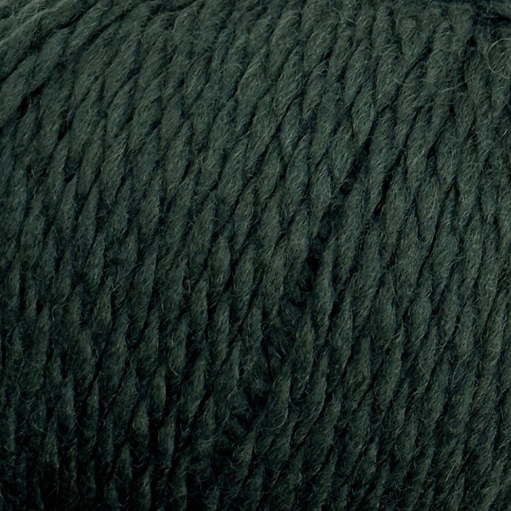 Chunky Andean Highland Wool - Forest - A880