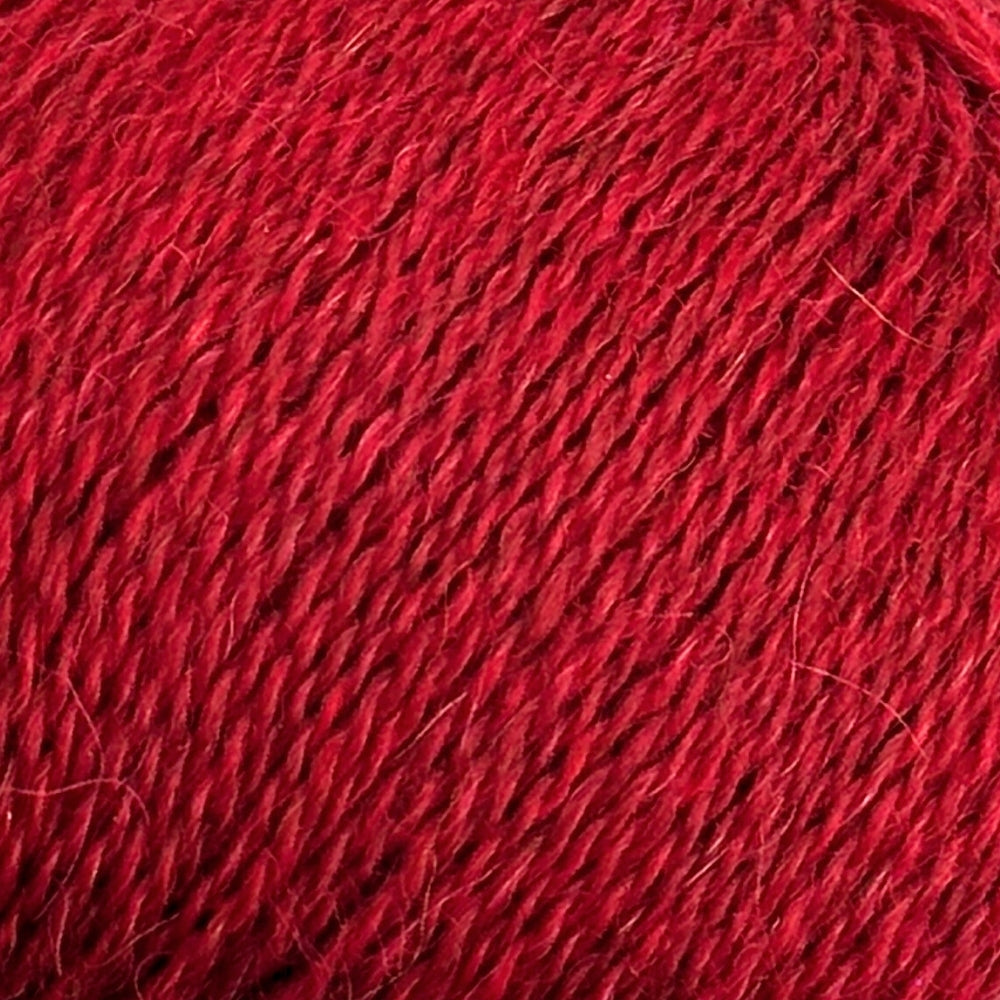 Baby Alpaca 100% - Goji Berry - C856