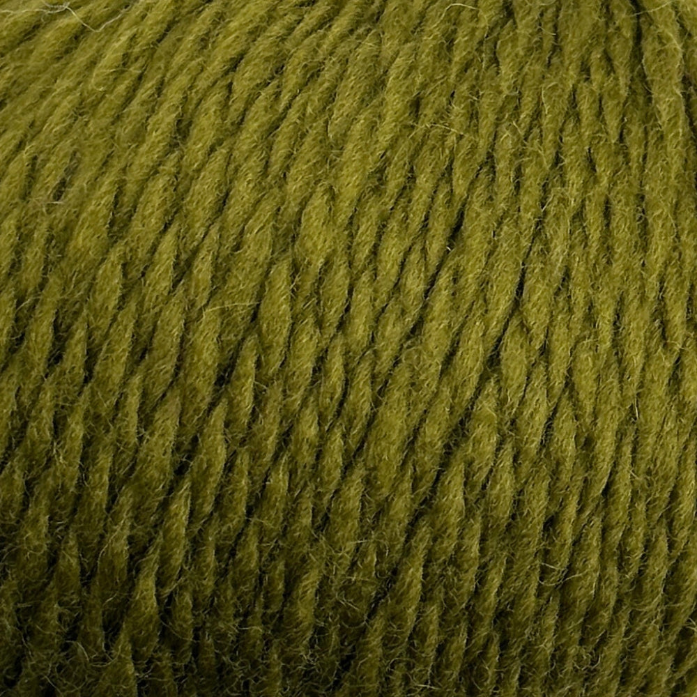 Chunky Andean Highland Wool - Green Olive - L509